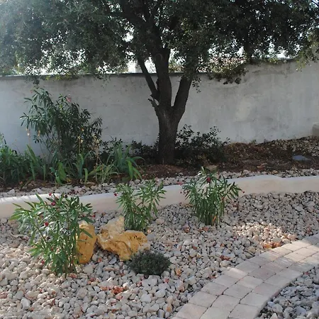 Les 2 Oliviers Apartment Canet (Herault)